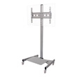 ESI TV-CADI Mobile LCD TV Mount