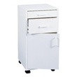 Martin Universal Design Mobile Cabinet U-TA2WD