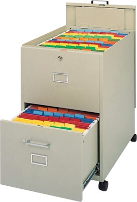 Mayline 9P621 Legal Size Mobilizer (File with Lid and Drawer) ES1349