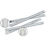 Alumicolor - 12" US States/Capitals Aluminum Reference Ruler, Silver - 1620-1-Promo ET15422-Promo