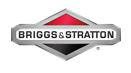 Briggs & Stratton