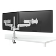 ESI Dual-Arm Monitor Arm EVOLVE2-MS ES5954