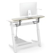 Stand Up Desks