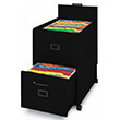 Mayline Letter Size Mobilizer with File, Lid and Drawer 9P620BLK ES1347